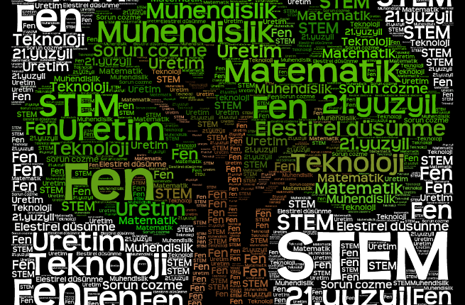 Stem Nedir